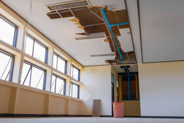 Best Water damage restoration near me  in New Stanton, PA