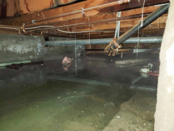 Trusted New Stanton, PA Water damage restoration Experts