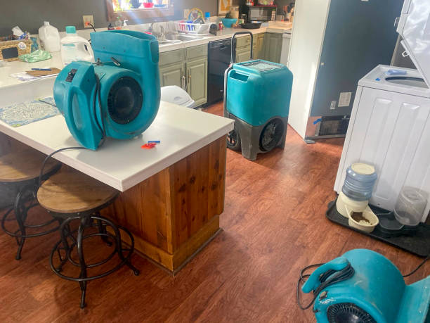 Best Water damage restoration near me  in New Stanton, PA