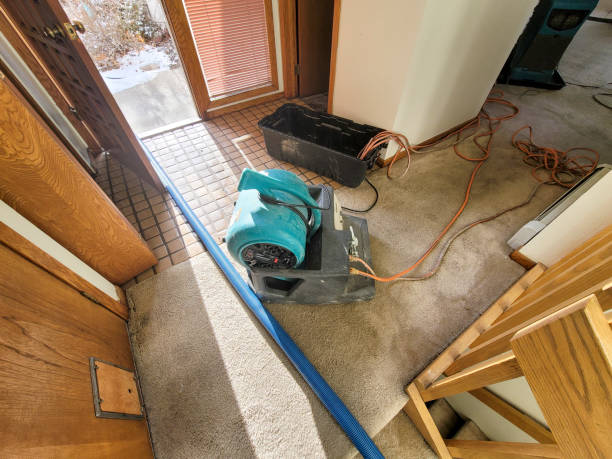 Best Flood damage cleanup  in New Stanton, PA