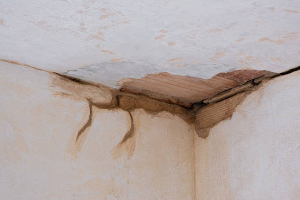 Best Flood damage cleanup  in New Stanton, PA