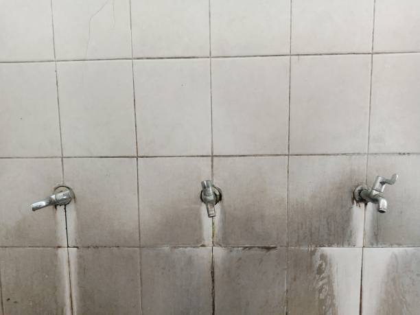 Best Mold removal after water damage  in New Stanton, PA