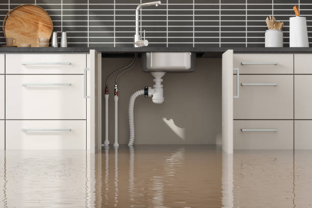Best Residential water damage restoration  in New Stanton, PA