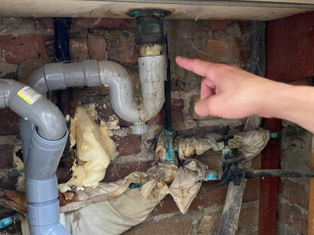 Best Local water damage restoration  in New Stanton, PA