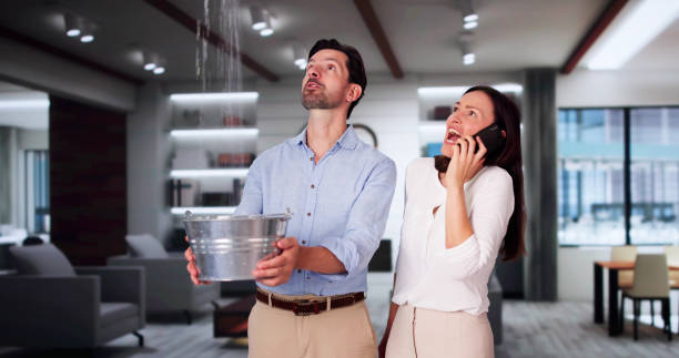 Best Flood damage cleanup  in New Stanton, PA