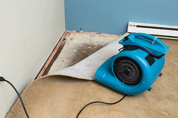 Best Emergency water damage restoration  in New Stanton, PA